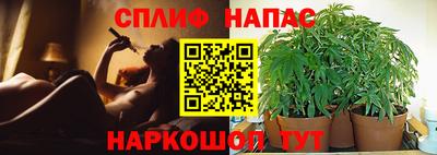 Альфа ПВП Усть-Джегута