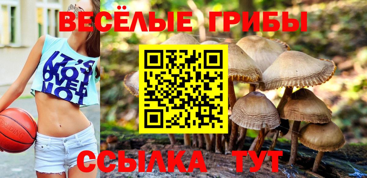 Галлюциногенные грибы Cubensis Мариинск