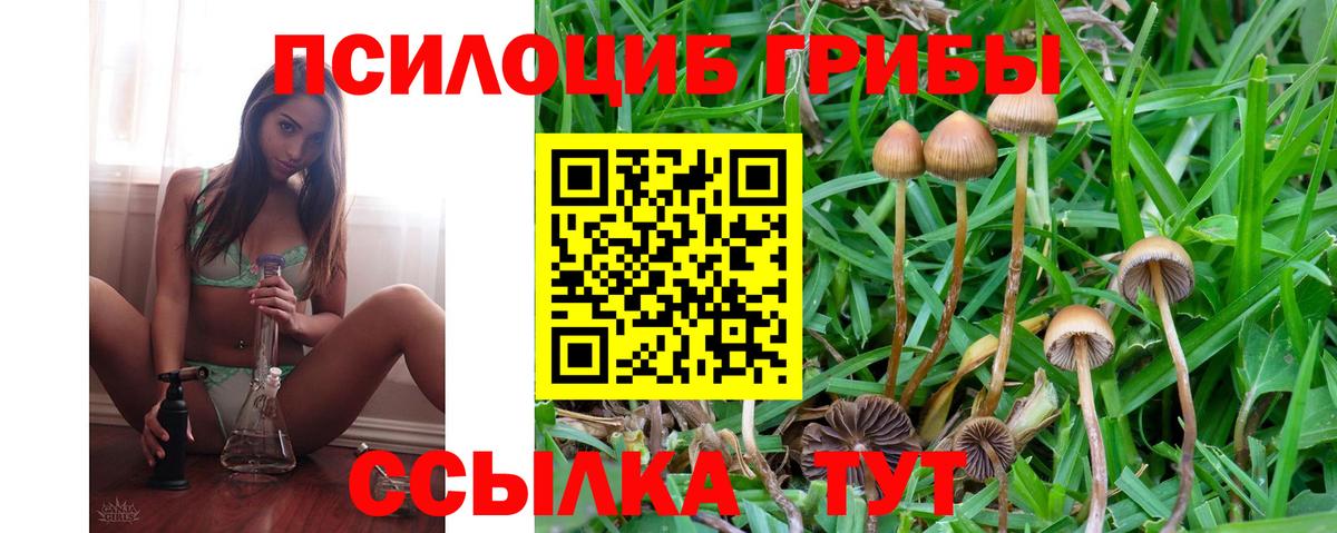 Мариинск  Псилоцибиновые грибы Psilocybine cubensis  Вход с VPN  Галлюциногенные грибы ЛСД 